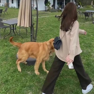 爱情赏味期